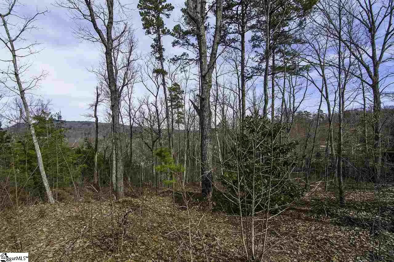 Property image 5 at 421 Montebello Drive, Greenville, SC 29609