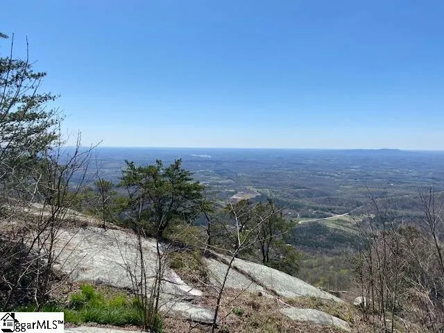 Property image 4 at Rose Pink Trail, Landrum, SC 29356