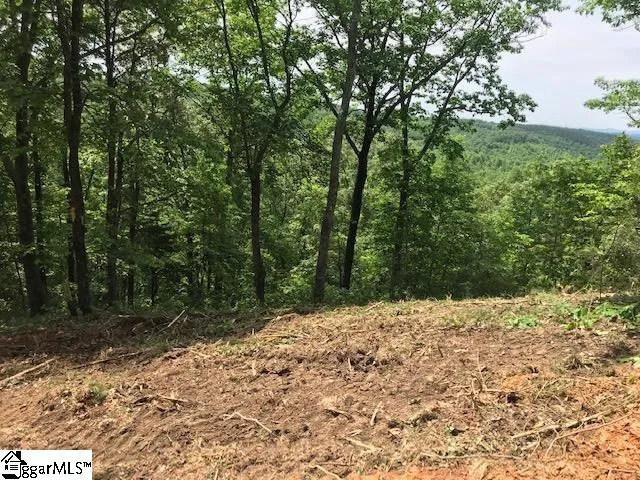 301 Blue Bonnet Trail