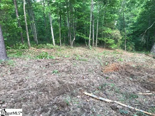 Property image 4 at 301 Blue Bonnet Trail, Marietta, SC 29661-5186
