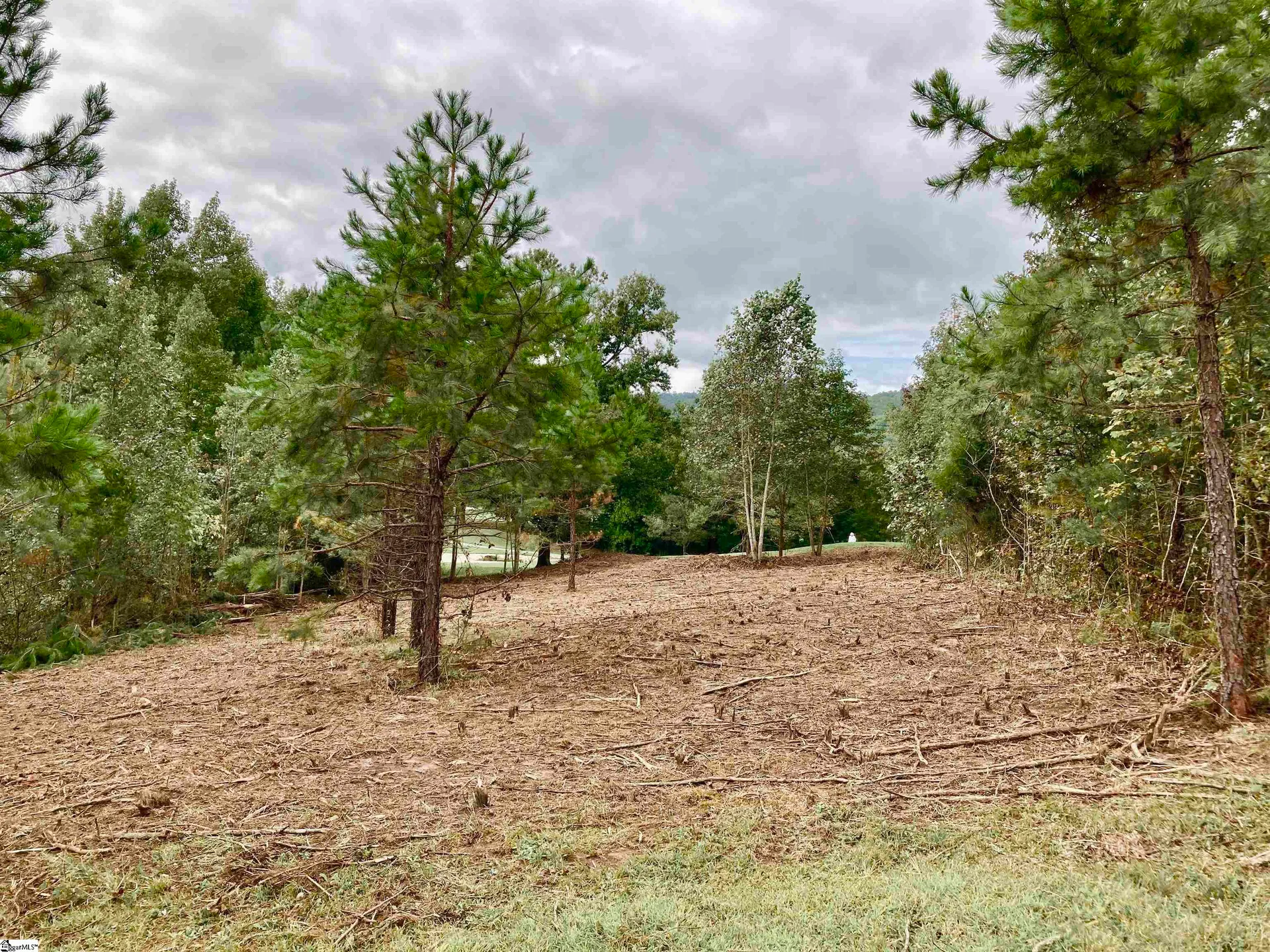Property image 4 at 5 Foxboro Road, Travelers Rest, SC 29690