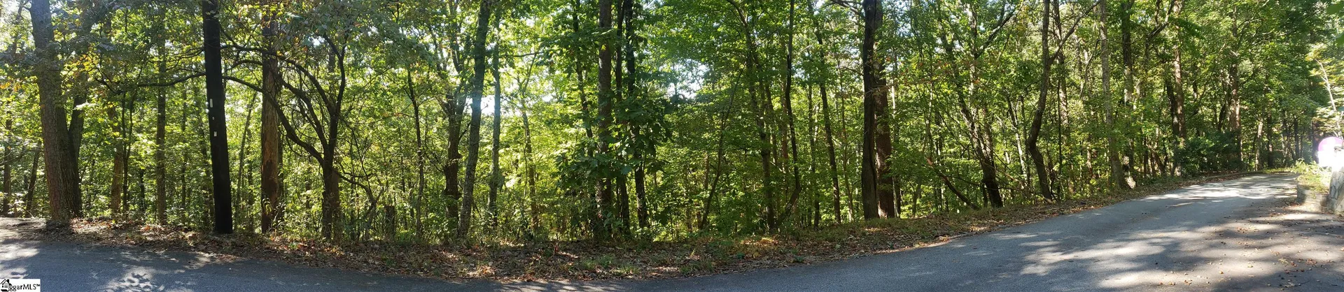 Property image 3 at 19287 Patrol Club Road, Greenville, SC 29609
