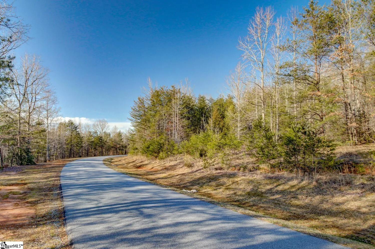 Property image 4 at 119 Pardo Road, Landrum, SC 29356
