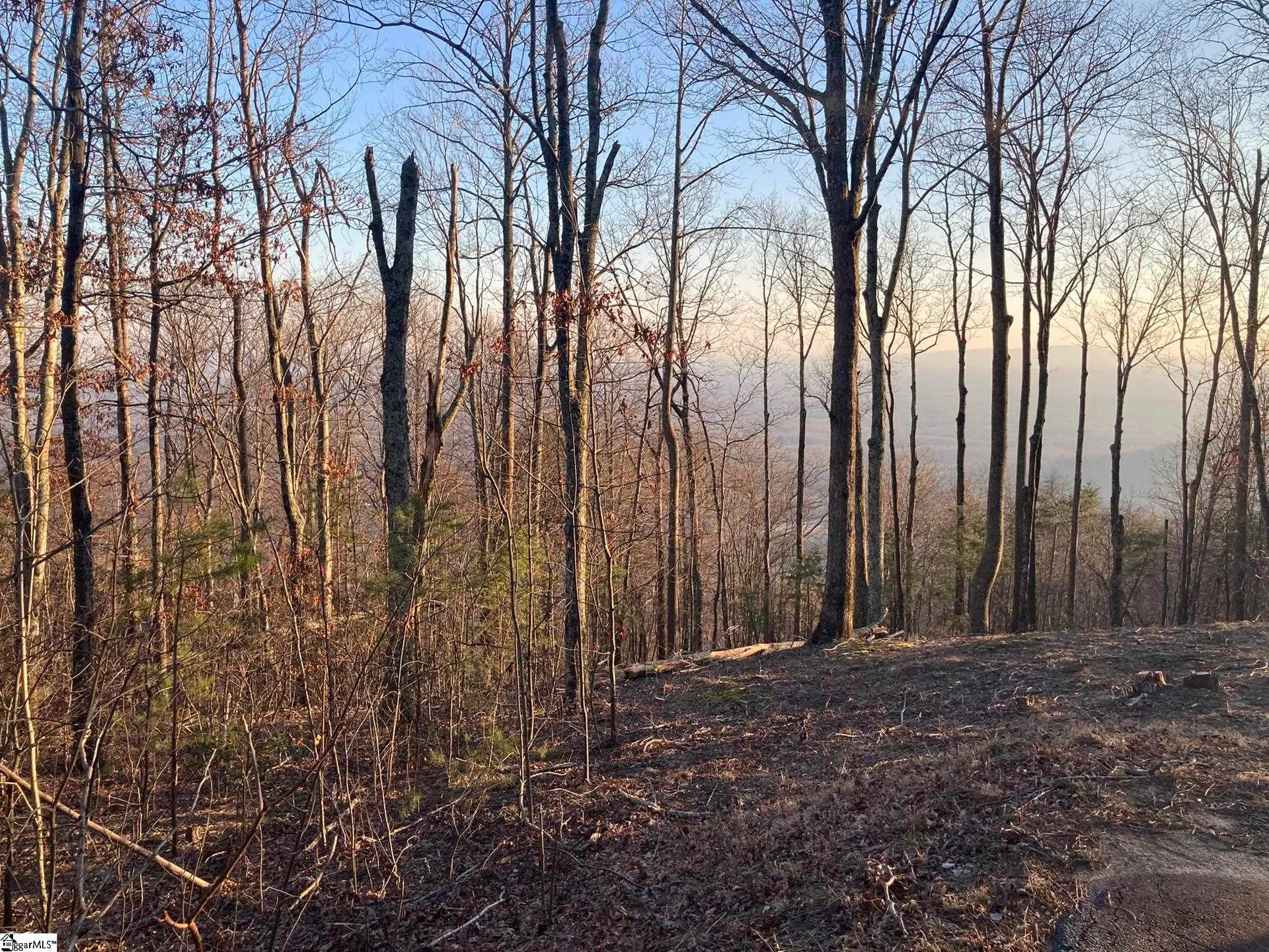 Property image 2 at 16 Lost Trail Drive, Landrum, SC 29356
