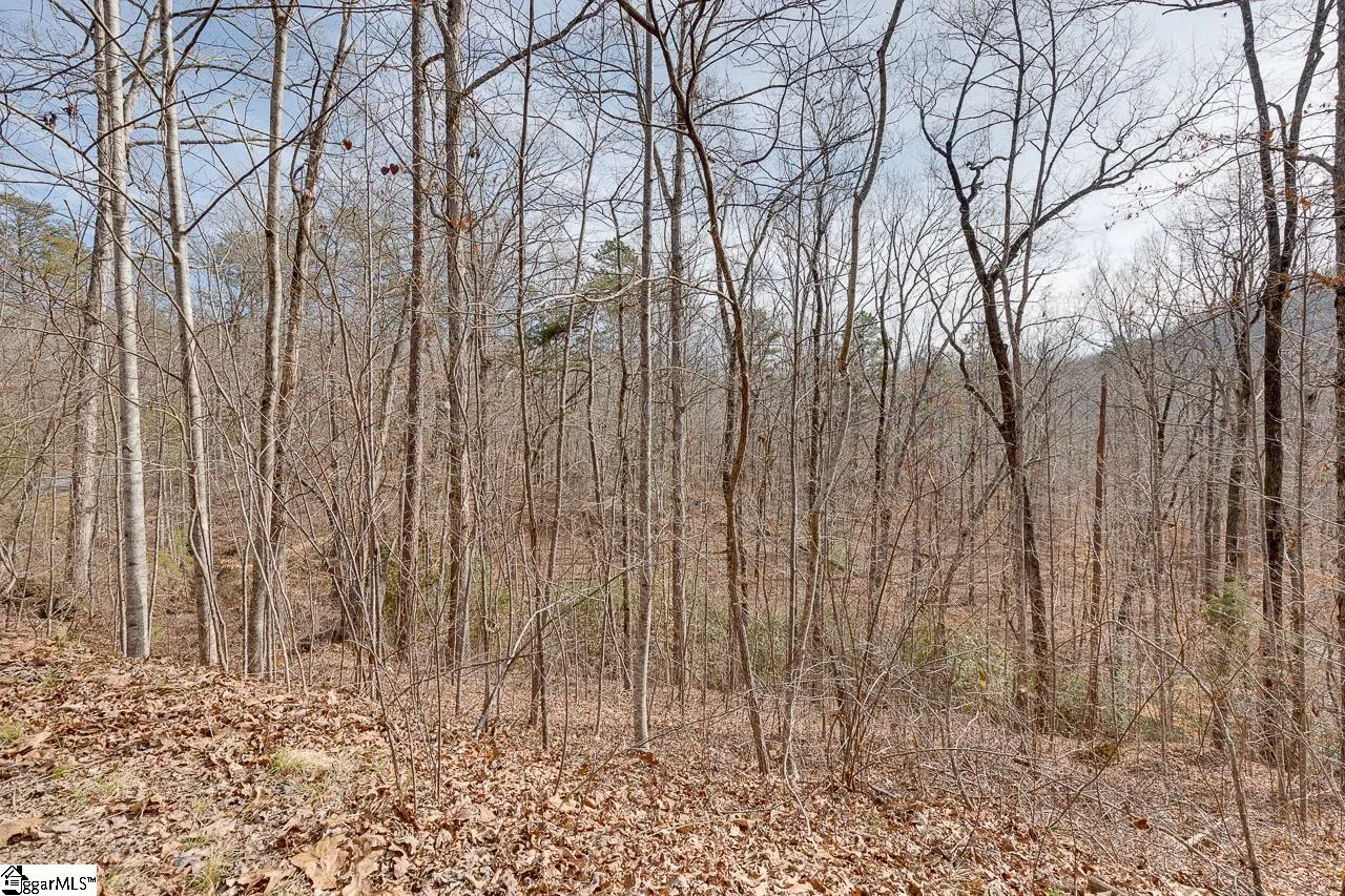 Property image 2 at 196 Julie Way, Pickens, SC 29671