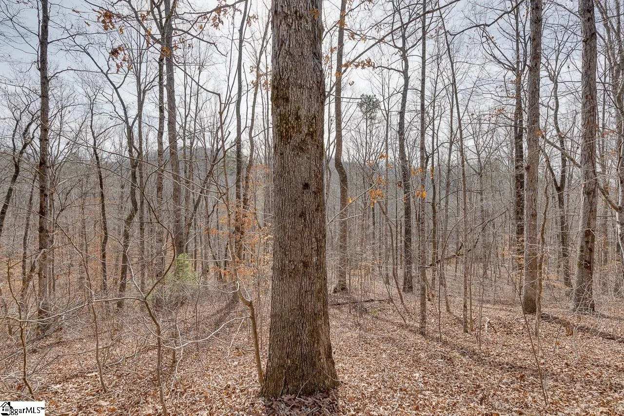 Property image 3 at 196 Julie Way, Pickens, SC 29671