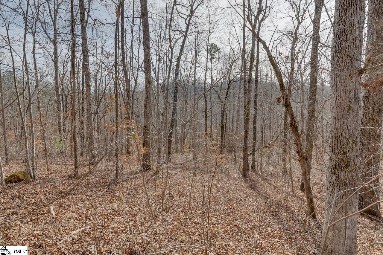 Property image 4 at 196 Julie Way, Pickens, SC 29671