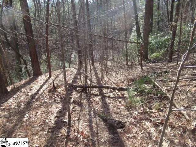 Property image 3 at 11 Matthews Creek Lane, Cleveland, SC 29635
