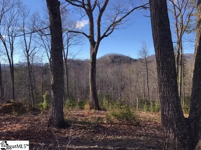 36 Terra Trace Way