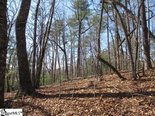 111 Oolenoy Court