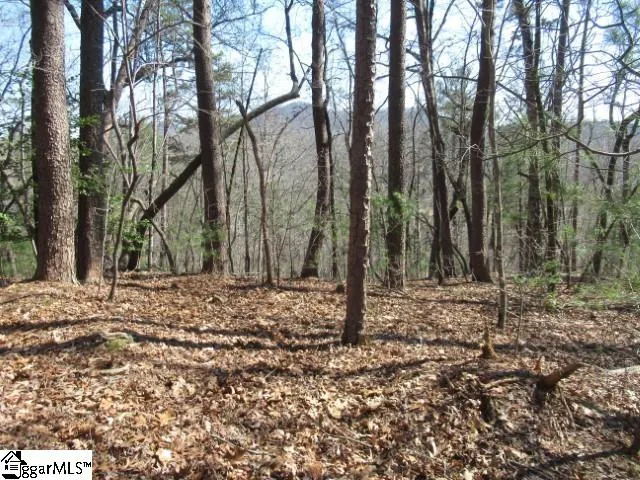 Property image 3 at 111 Oolenoy Court, Pickens, SC 29671