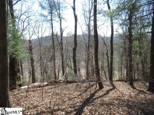 115 Oolenoy Court