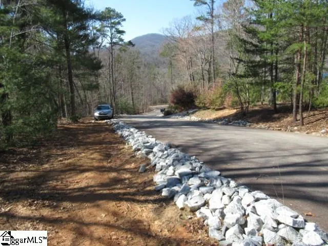 Property image 3 at 115 Oolenoy Court, Pickens, SC 29671