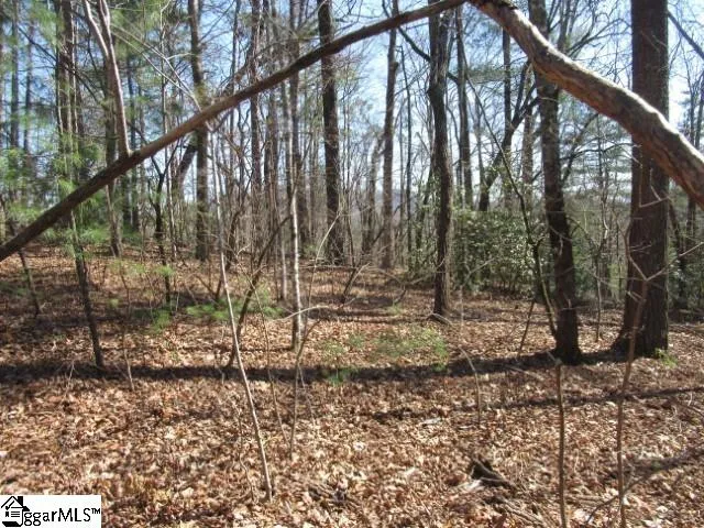 Property image 4 at 115 Oolenoy Court, Pickens, SC 29671