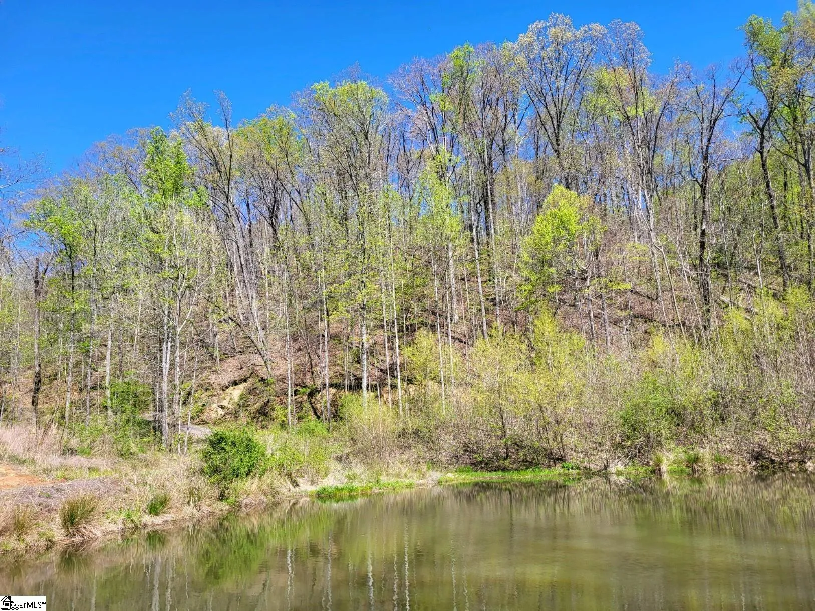 Property image 4 at 128 Glassy Falls Trail, Travelers Rest, SC 29690