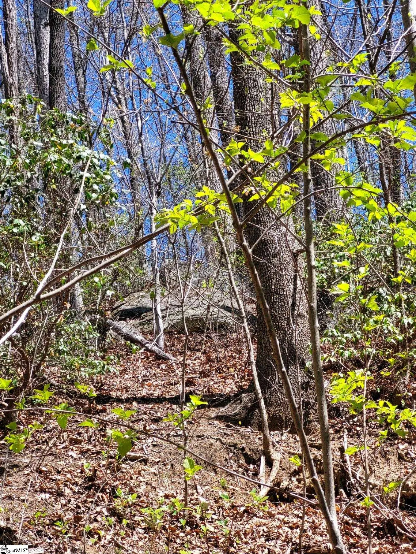 Property image 5 at 128 Glassy Falls Trail, Travelers Rest, SC 29690