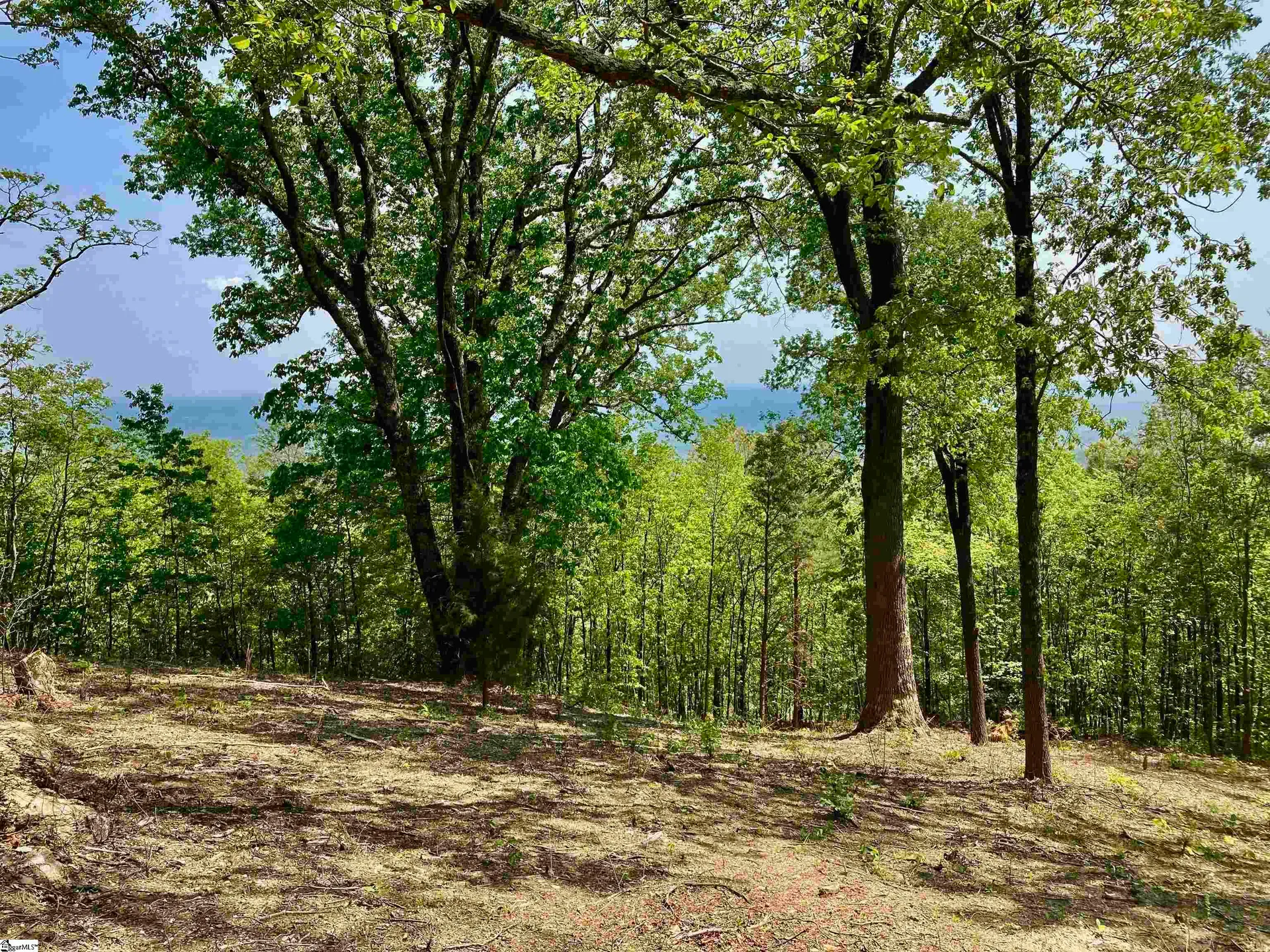 Ferncliff Lane