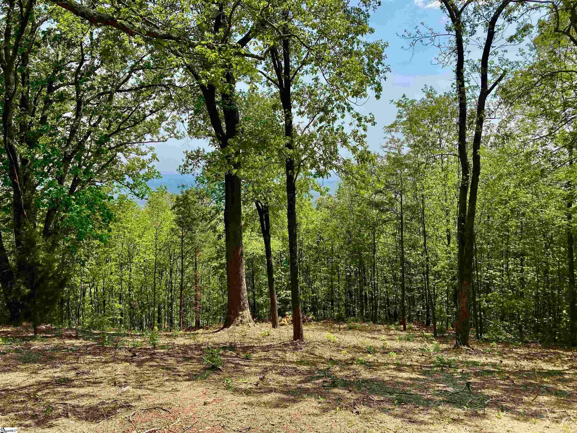 Property image 2 at Ferncliff Lane, Landrum, SC 29356