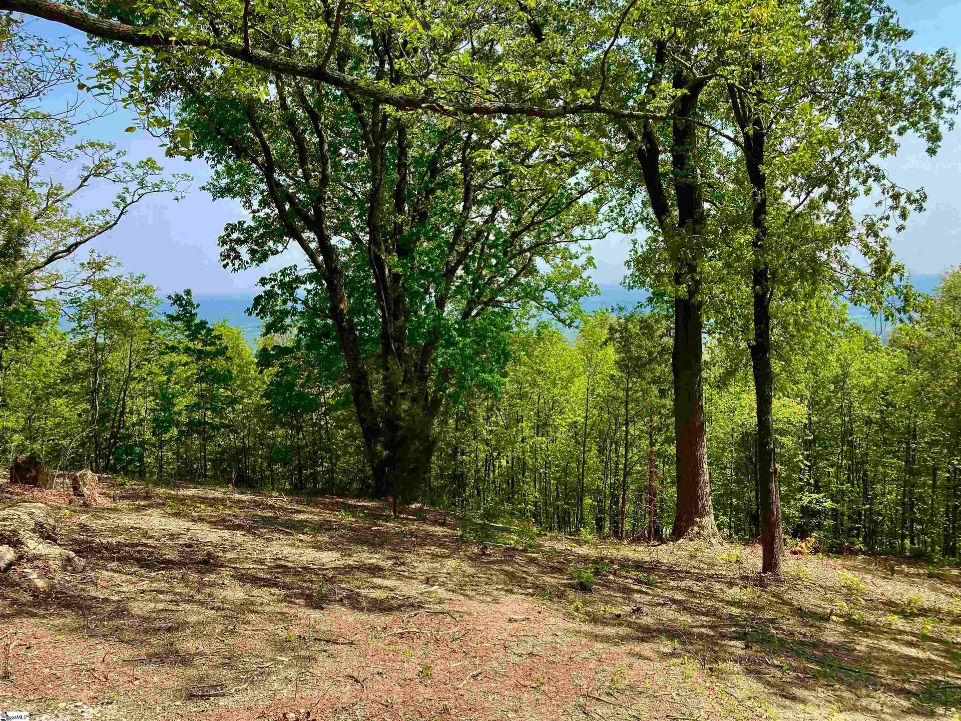 Property image 3 at Ferncliff Lane, Landrum, SC 29356