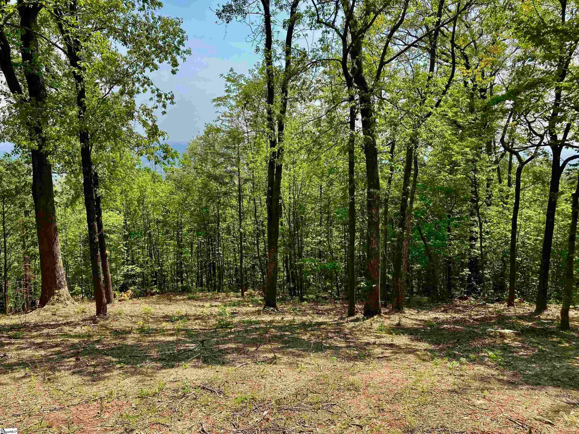 Property image 4 at Ferncliff Lane, Landrum, SC 29356