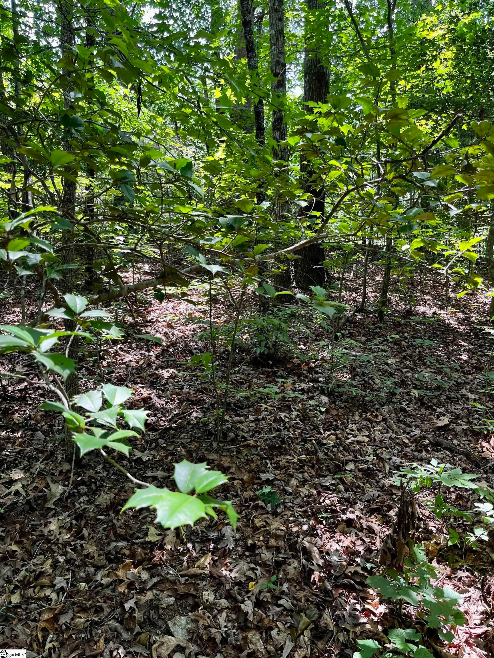 Property image 2 at 40 Roco Trail, Travelers Rest, SC 29690
