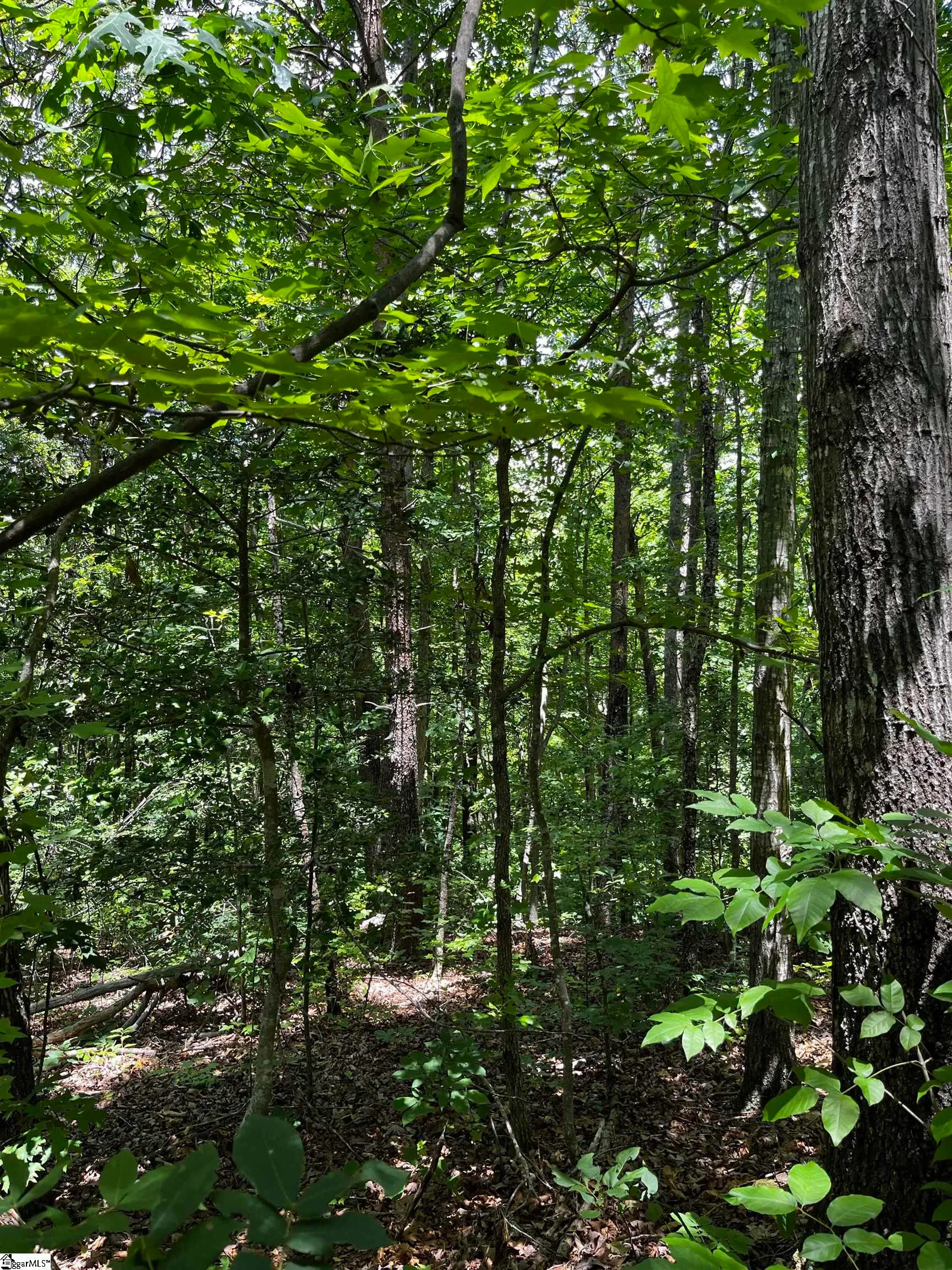 Property image 4 at 40 Roco Trail, Travelers Rest, SC 29690