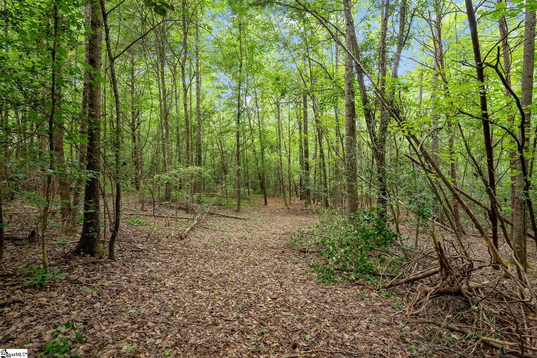 Property image 5 at 153 Silvery Lane, Liberty, SC 29657