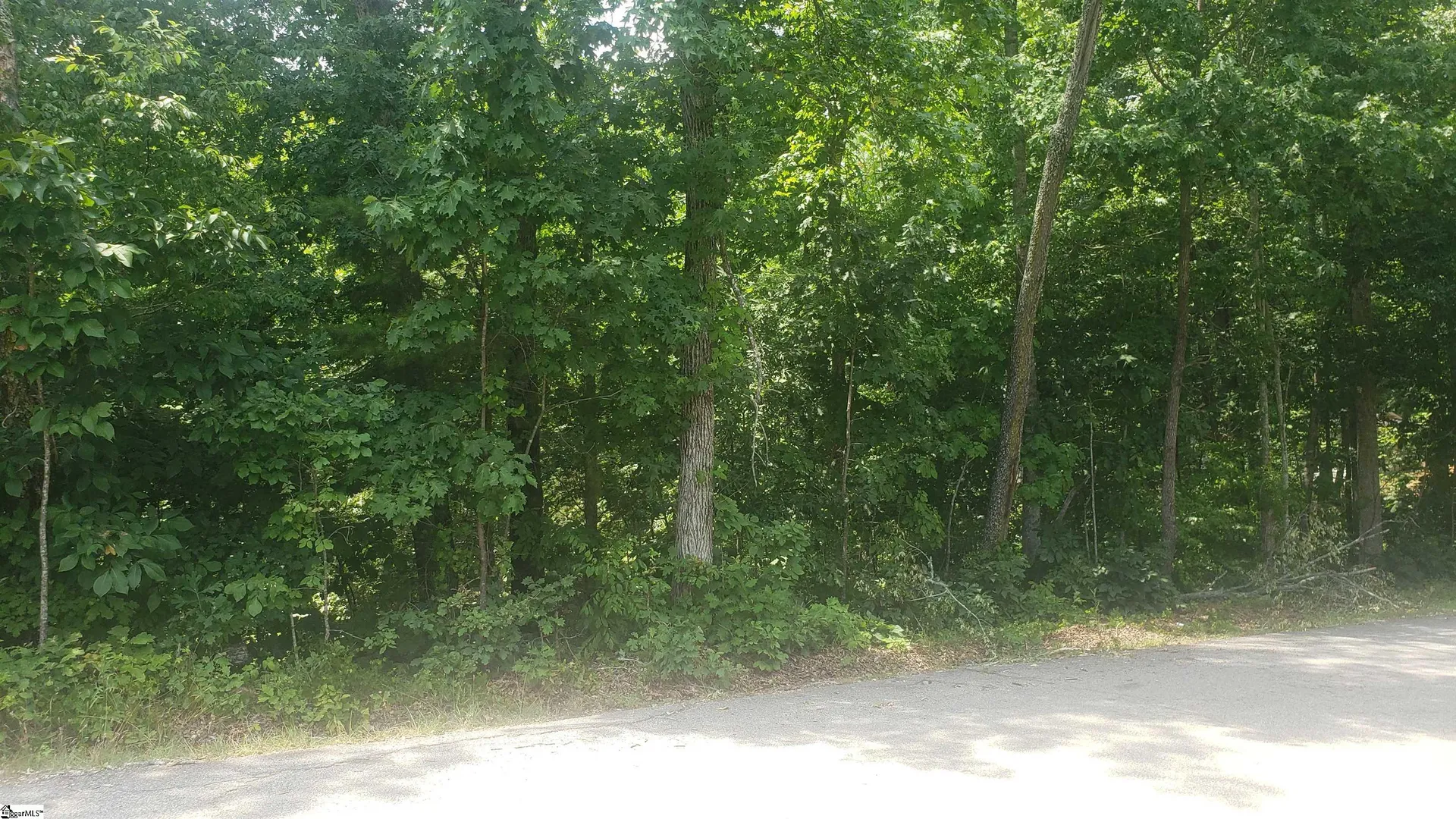 Lyle Drive