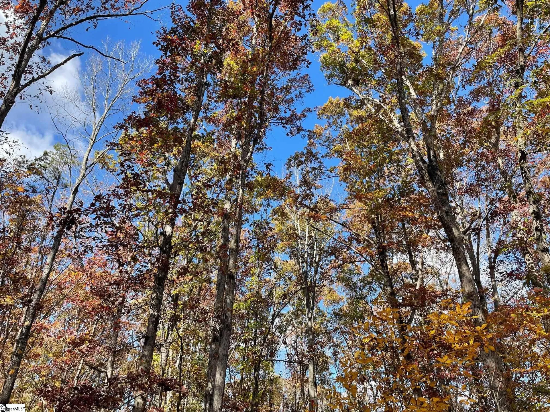 Property image 2 at 54 Lakeview Road, Fountain Inn, SC 29644