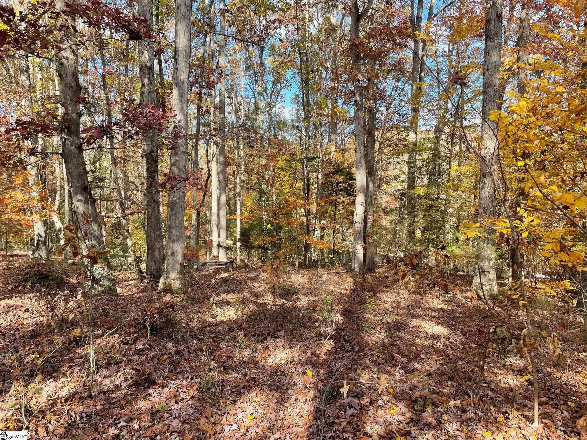 Property image 3 at 54 Lakeview Road, Fountain Inn, SC 29644