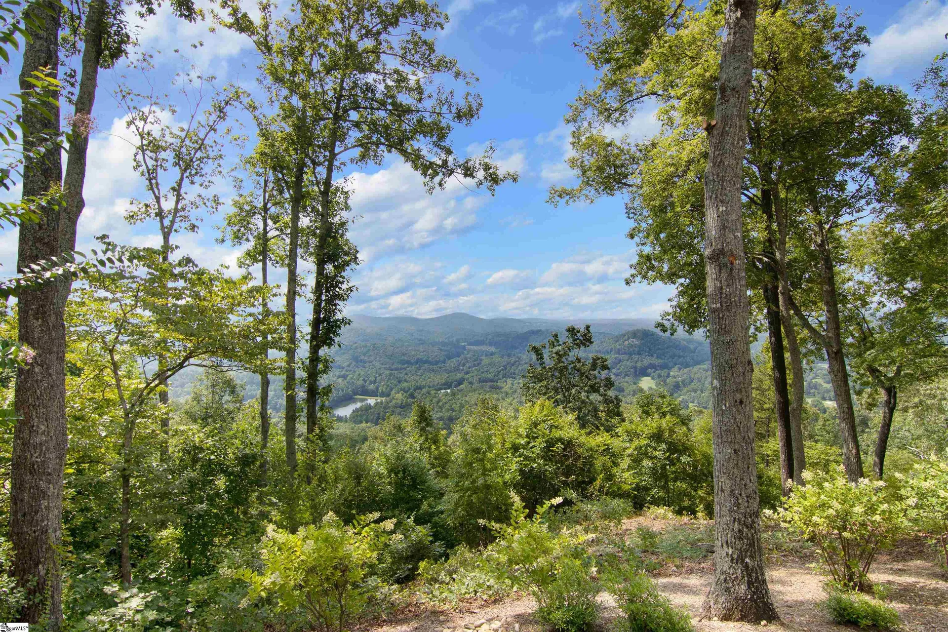 Property image 2 at 9 Deer Valley Court, Travelers Rest, SC 29690