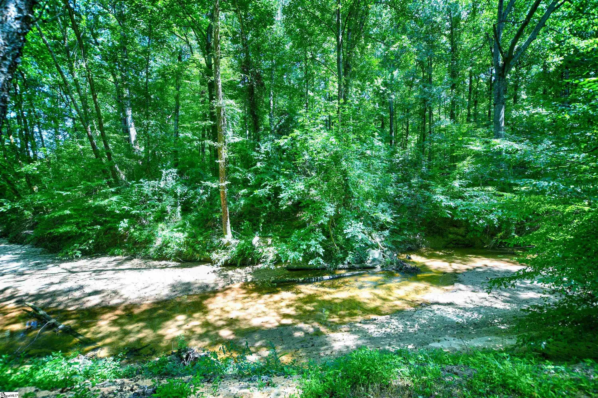 Property image 5 at 115 Ricelan Drive, Simpsonville, SC 29681