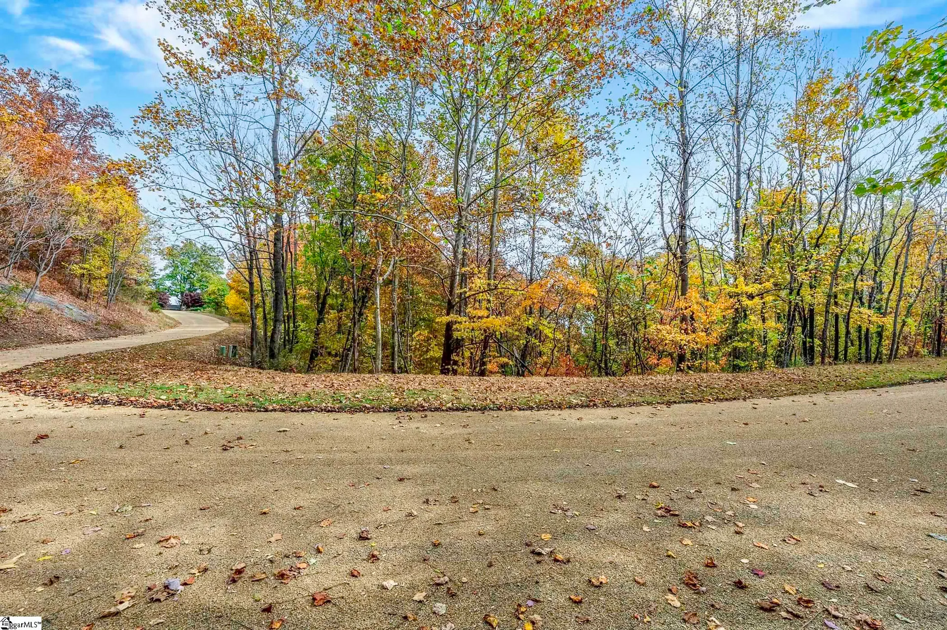 Property image 2 at 00 Hawk Springs Drive, Landrum, SC 29356