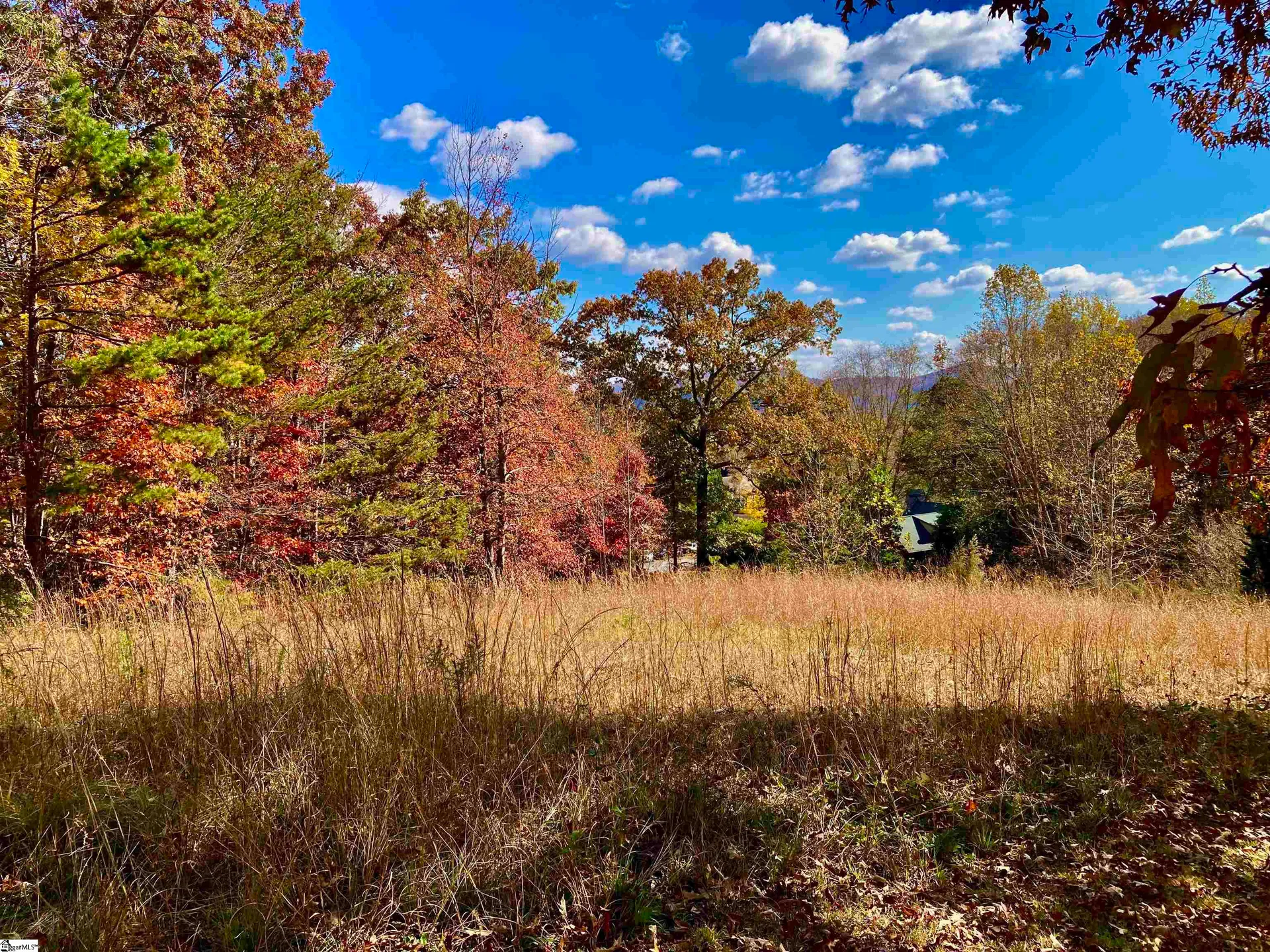 Property image 2 at 6 Sedgewick Road, Travelers Rest, SC 29690