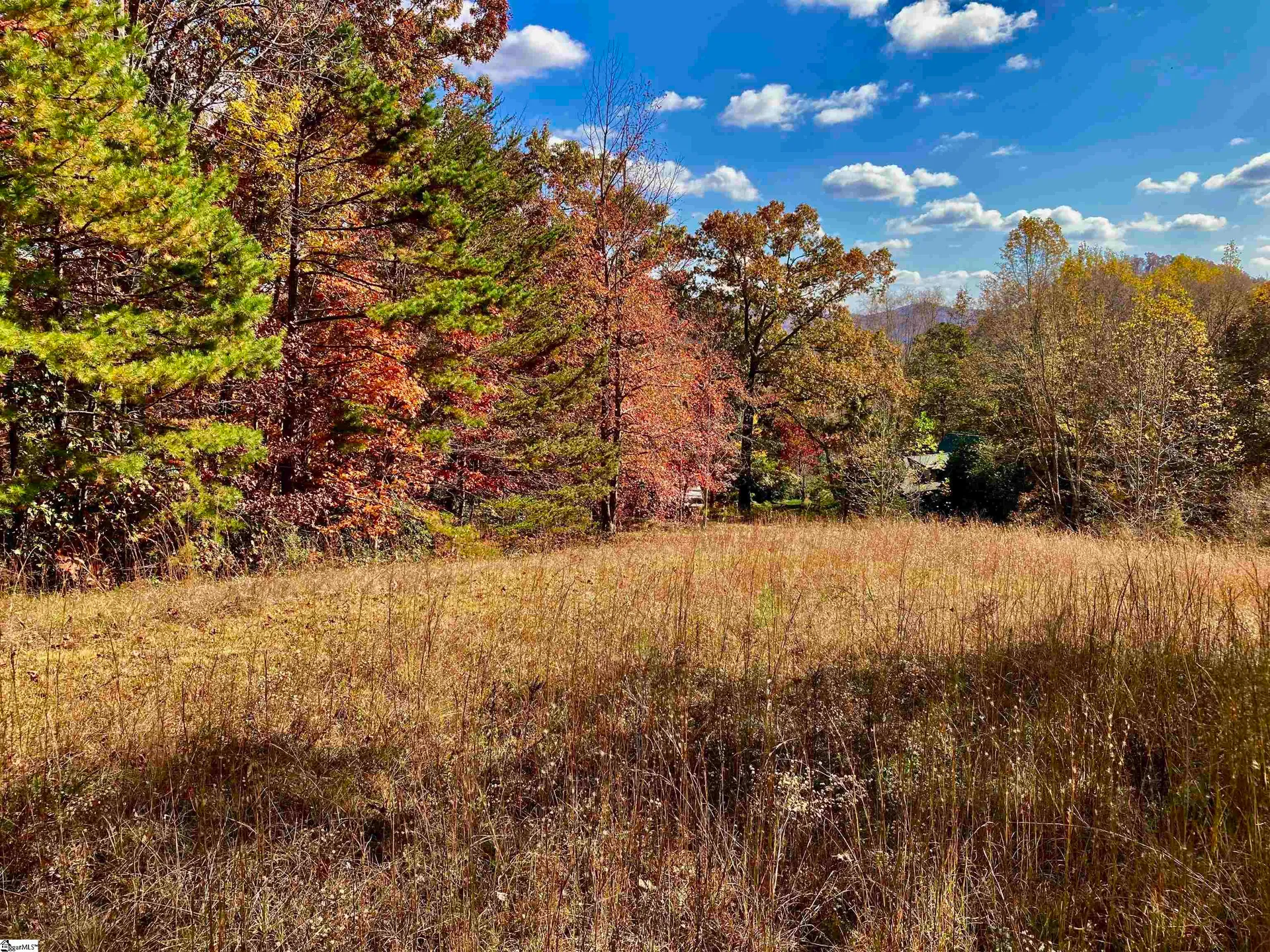 Property image 3 at 6 Sedgewick Road, Travelers Rest, SC 29690