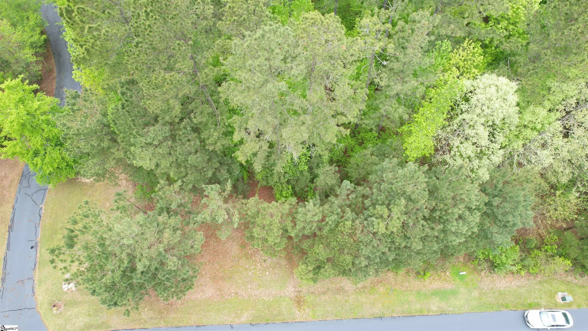 Property image 2 at 342 Watersedge Drive, Cross Hill, SC 29332