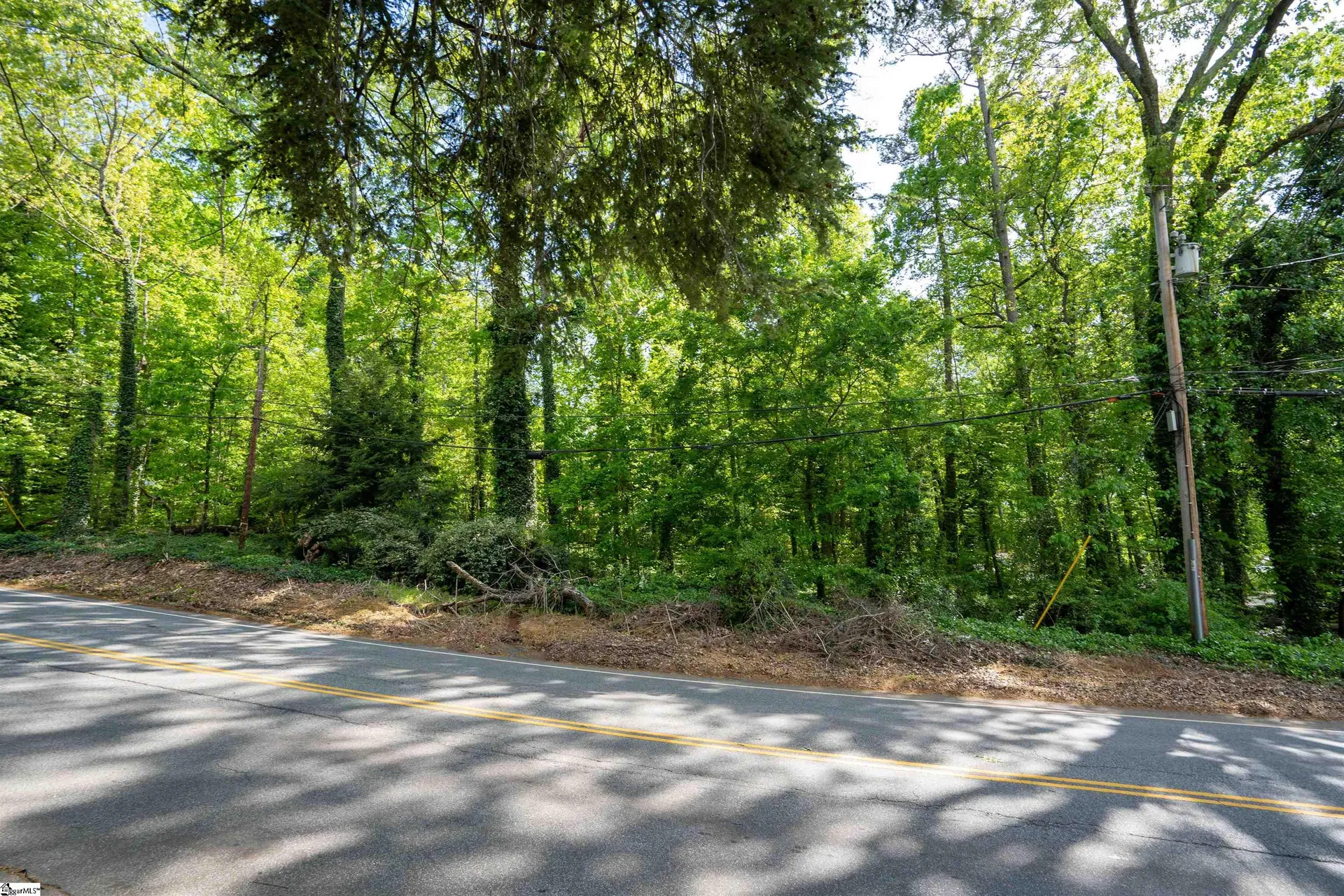 205 Woodland Way