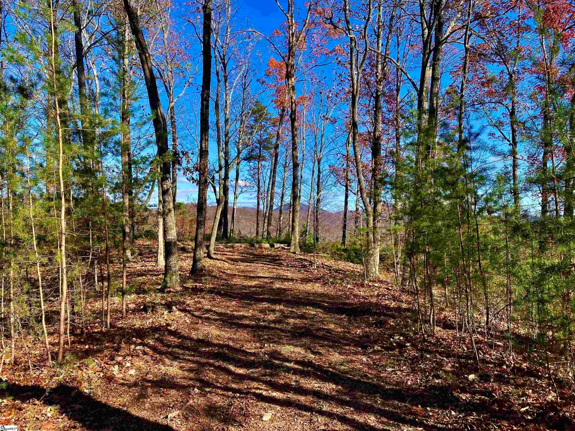 Property image 3 at 29 Speckled Grouse Way, Marietta, SC 29661