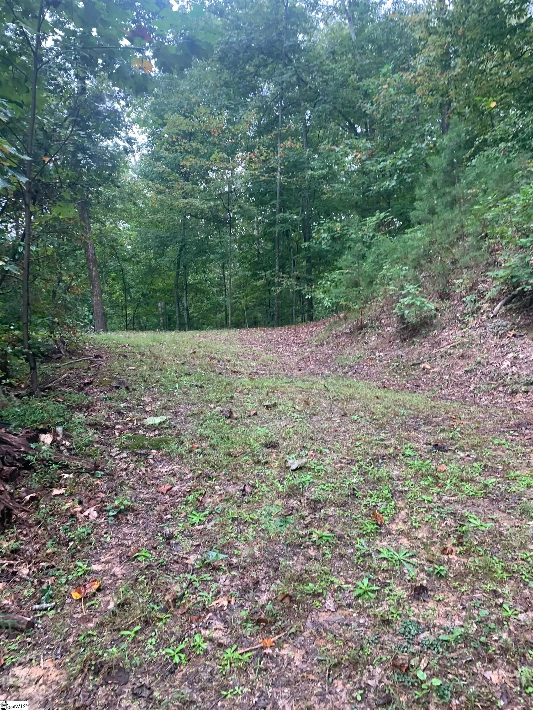 Property image 1 at 00 Copper Leaf Lane, Travelers Rest, SC 29690