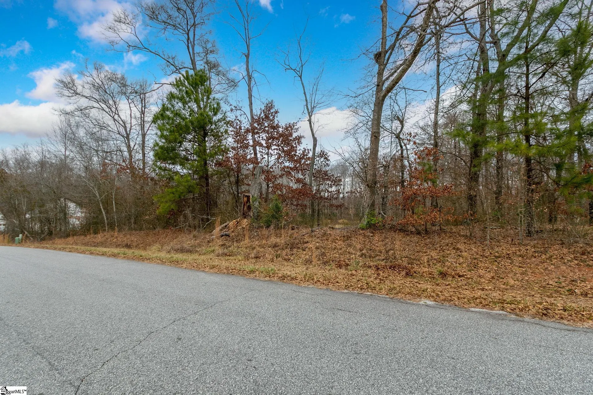 Property image 4 at 00 Sheila Drive, Williamston, SC 29697