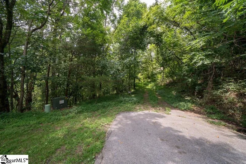 Property image 3 at 9 Pine Shadows Lane, Landrum, SC 29356