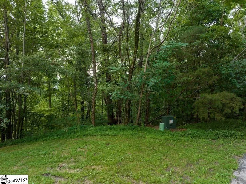 Property image 5 at 9 Pine Shadows Lane, Landrum, SC 29356