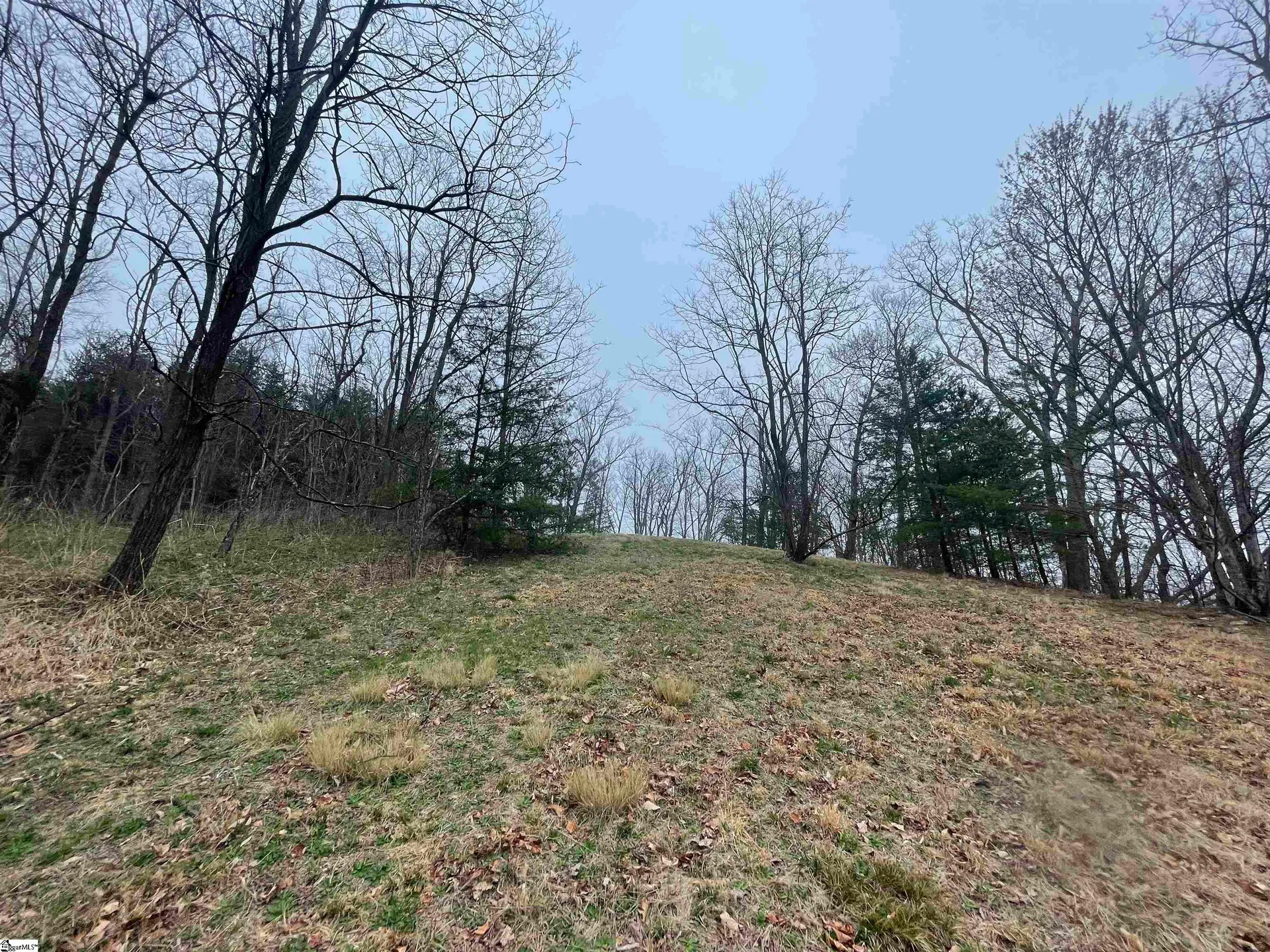 Property image 2 at 106 Ridge Pass Way, Landrum, SC 29356