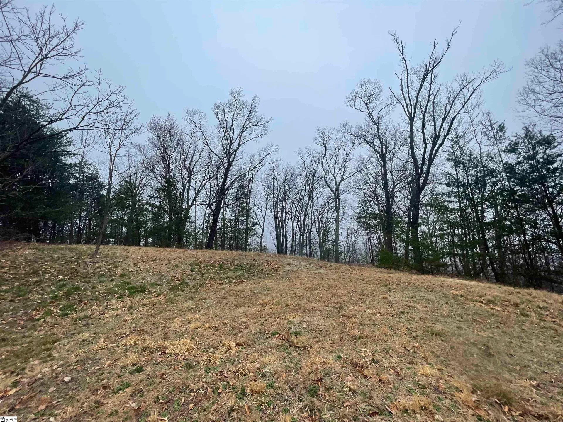 Property image 3 at 106 Ridge Pass Way, Landrum, SC 29356