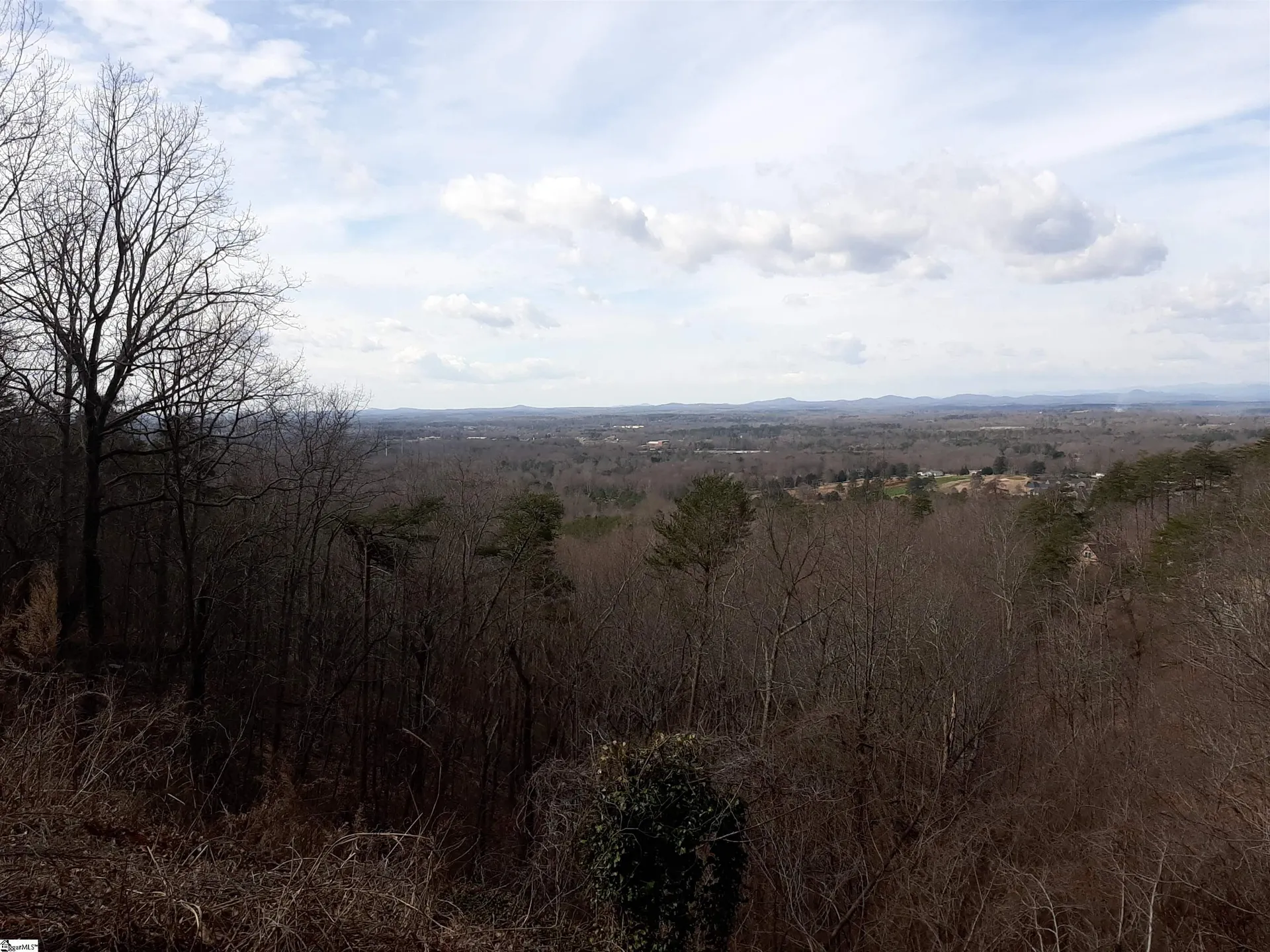 Property image 2 at 00 Altamont Road, Greenville, SC 29609