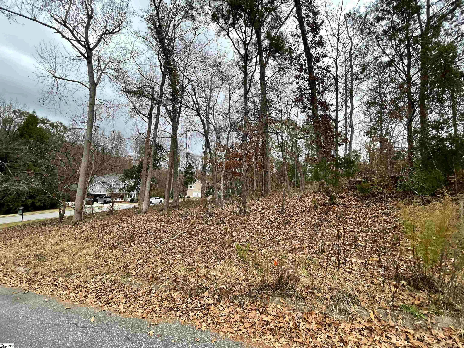 Property image 4 at 00 Beacon Ridge Drive, Seneca, SC 29678