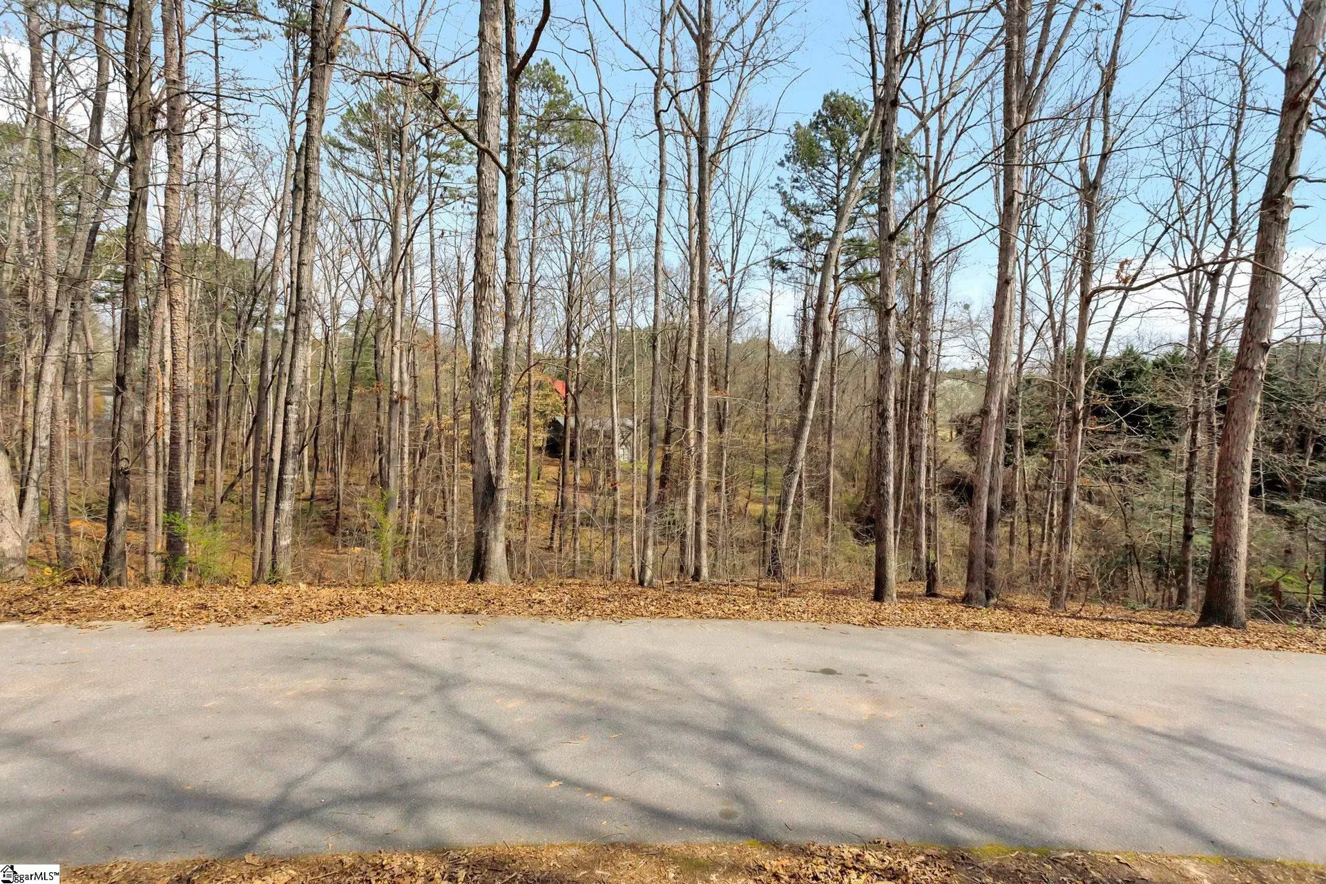 Property image 4 at 00 Summersweet Lane, Seneca, SC 29672