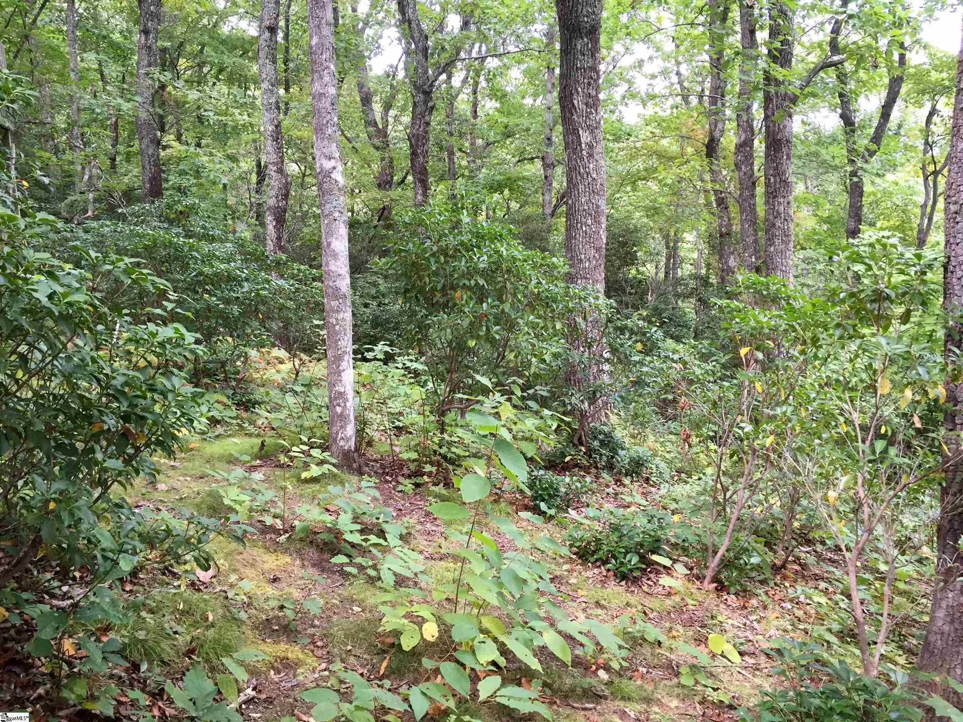 401 Panther Mountain Road
