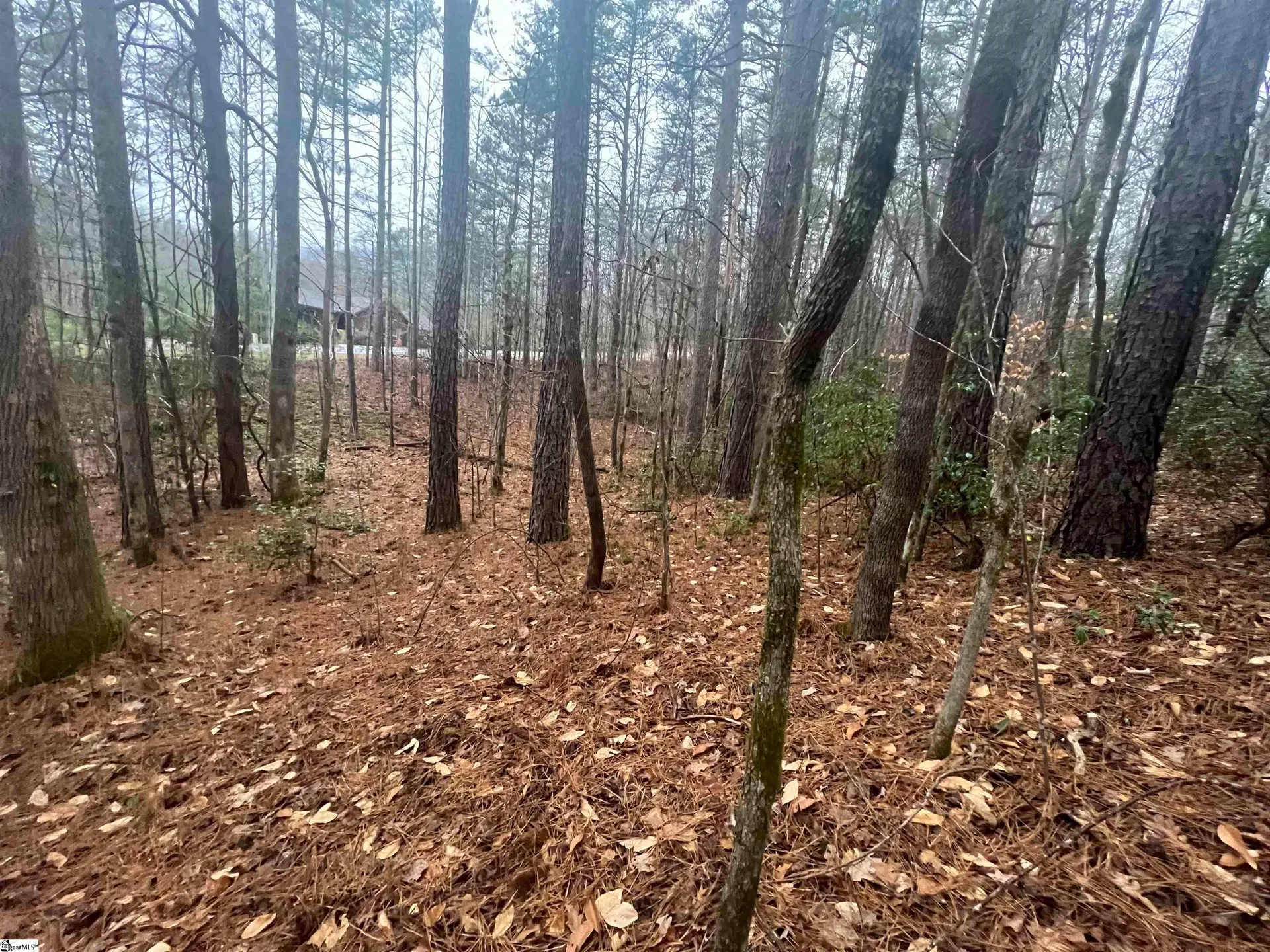 Property image 3 at 11 River Rock Court, Cleveland, SC 29635