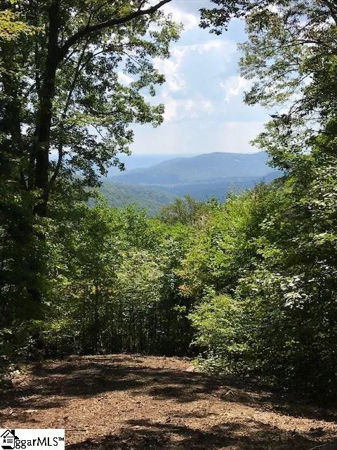 Property image 5 at 1335 Panther Park Trail, Travelers Rest, SC 29690